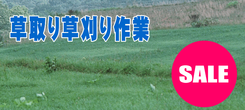 草取りや草刈り清掃作業行います